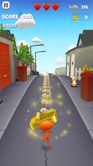 宠物猫无尽跑酷(2)