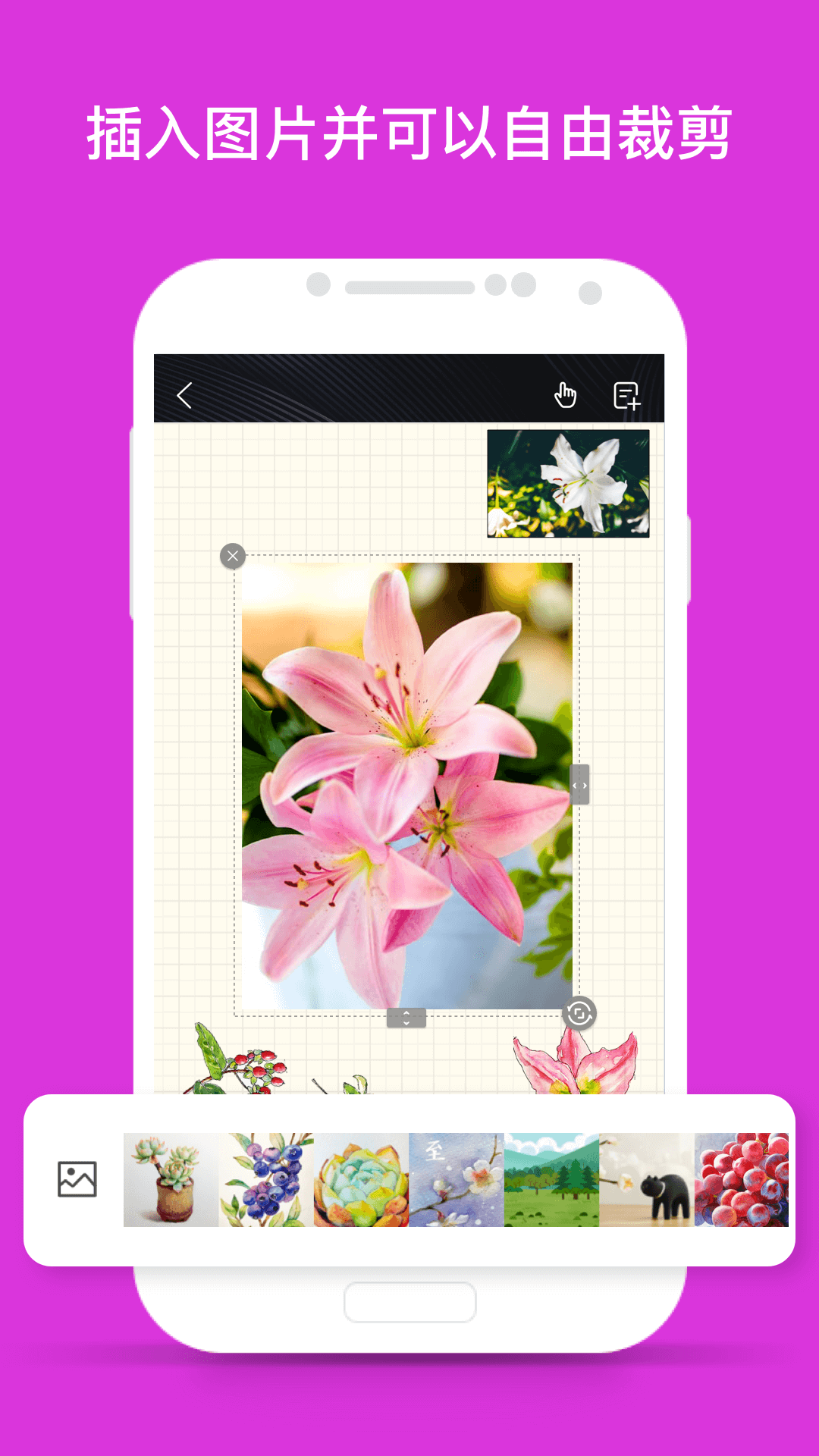 千本笔记手机版(4)