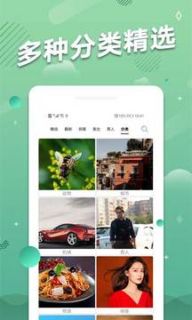 手机动态壁纸大全(2)