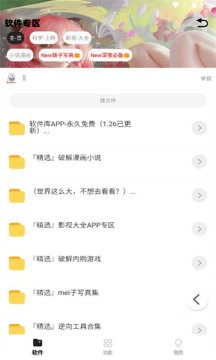 倾城软件库最新版本(2)