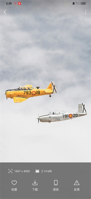 汽水壁纸最新版(1)