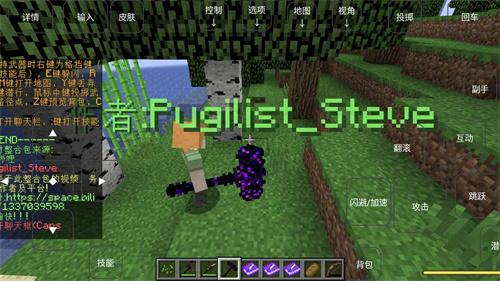 我的世界烦人的村民(1)