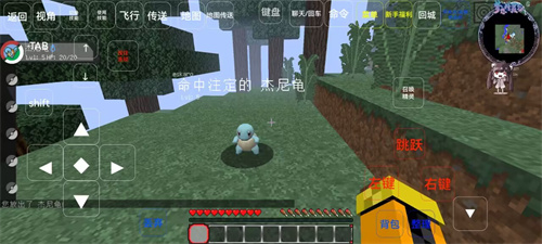 我的世界神奇宝贝朱紫模组(3)