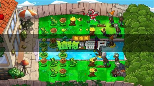 植物大战僵尸tv版(5)