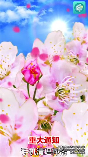 极速冷却精灵(1)