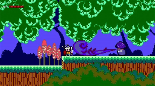 婆罗洲的安塔普(2)