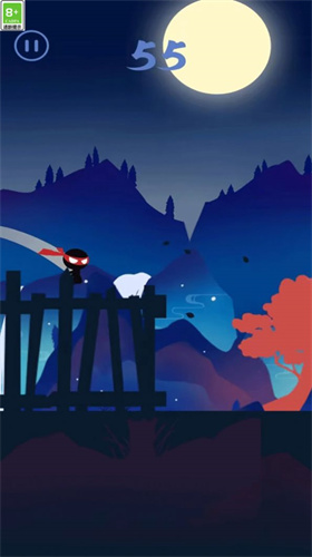 忍者极限跳跃(1)