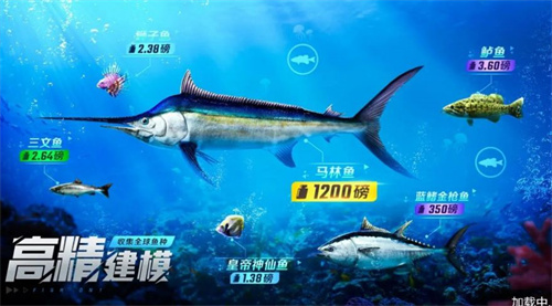 野外钓鱼大师(1)