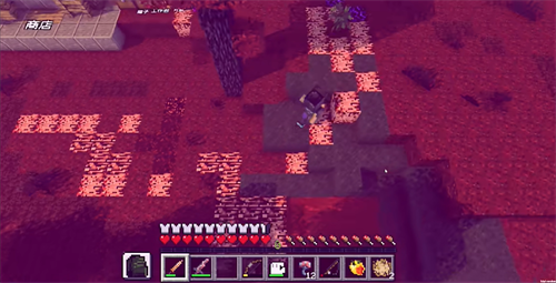 植物大战僵尸mc版(1)