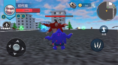 猩猩狒狒乱斗(2)