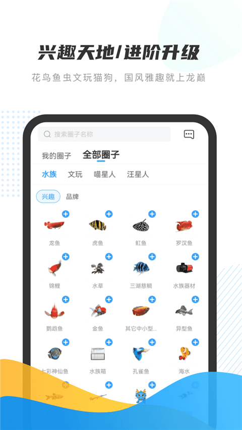 龙巅app(1)