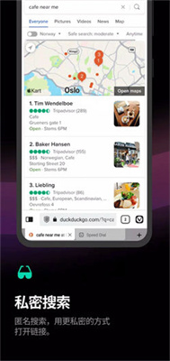 Vivaldi浏览器2025(1)