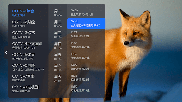 电视家海外版(2)