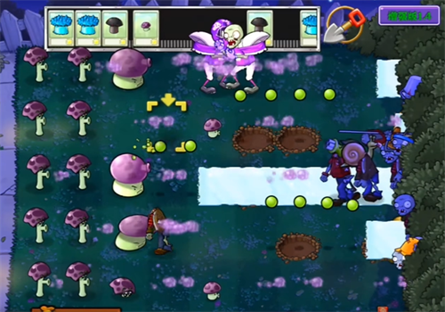 植物大战僵尸增强版(2)