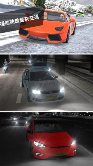 驾考模拟3d手机版(4)