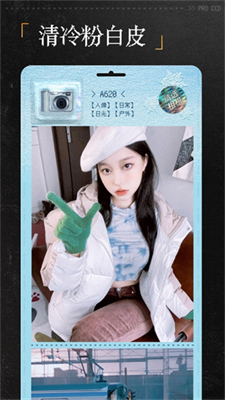 ProCCD复古CCD相机(3)