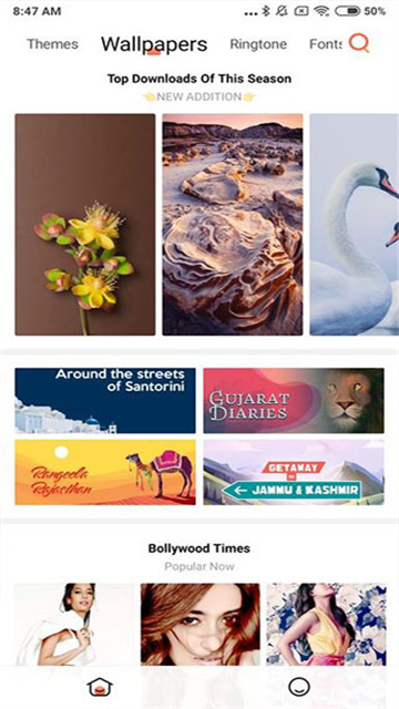 小米主题国际版2025(3)