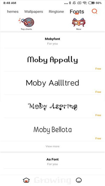 小米主题国际版2025(2)