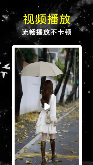 探花视频播放器app(2)