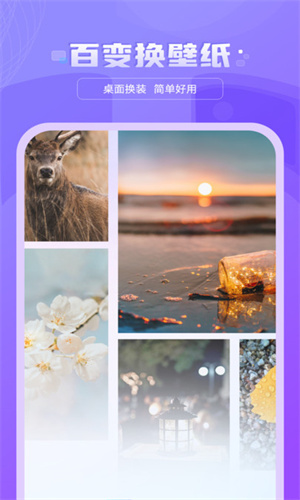 好看图库天天屏保壁纸(2)