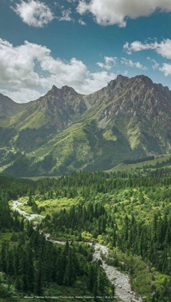 全国森林督查(3)