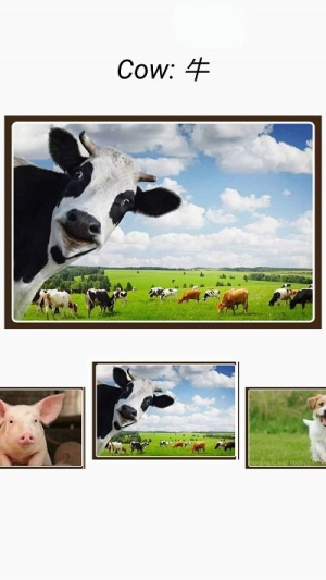 动物和声音软件(3)