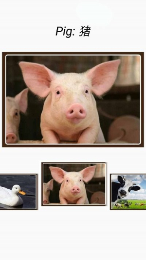 动物和声音软件(1)