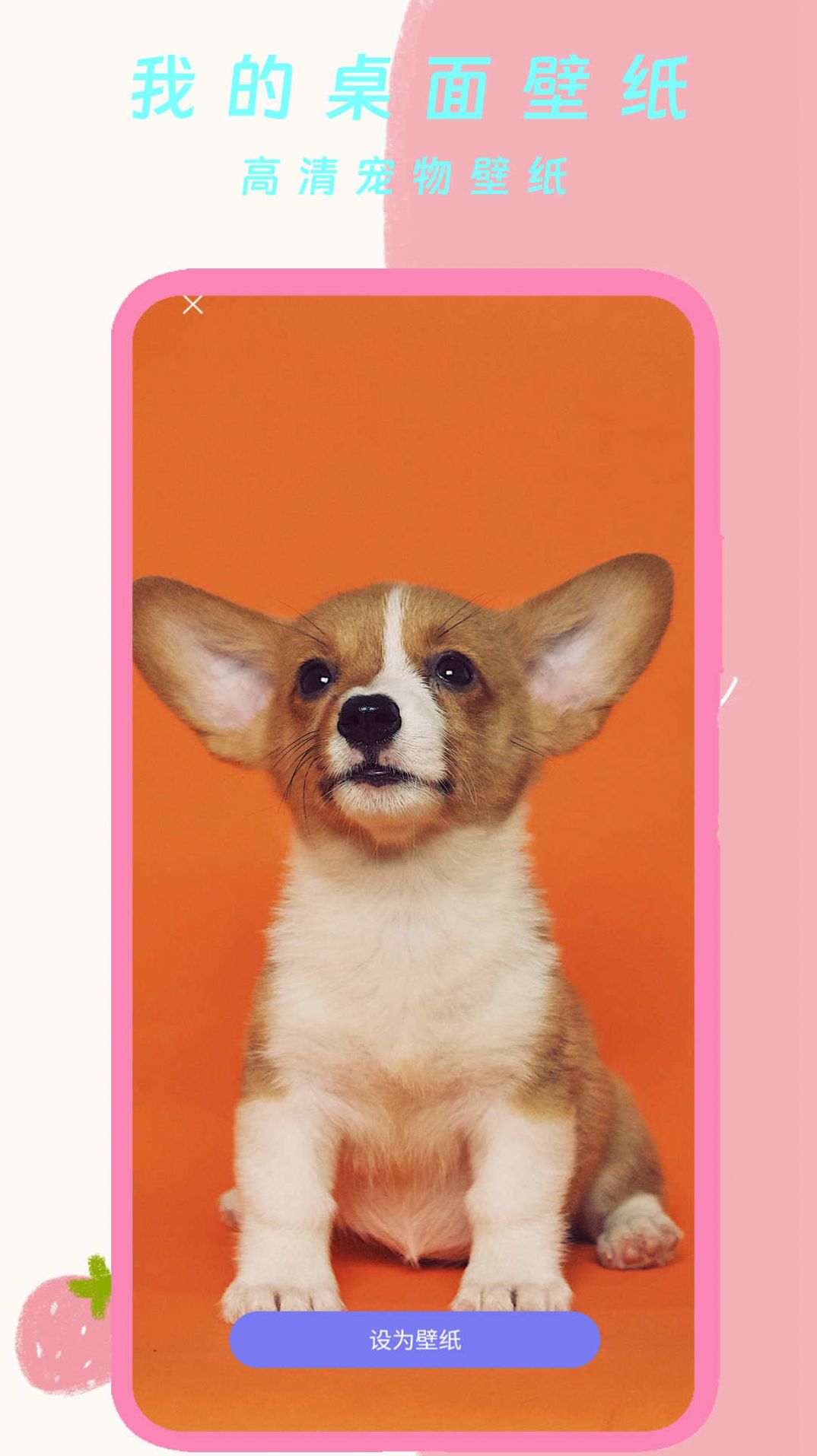 我的桌面壁纸(3)