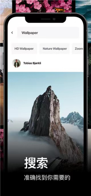 pexels免费素材网(2)