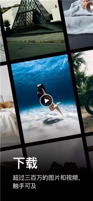 pexels免费素材网(3)