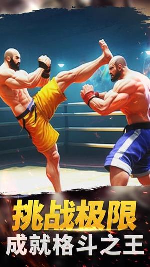 功夫格斗大师(1)
