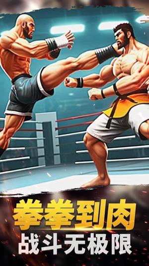 功夫格斗大师(3)