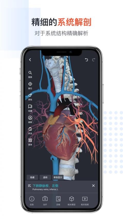 医用人体解剖(1)