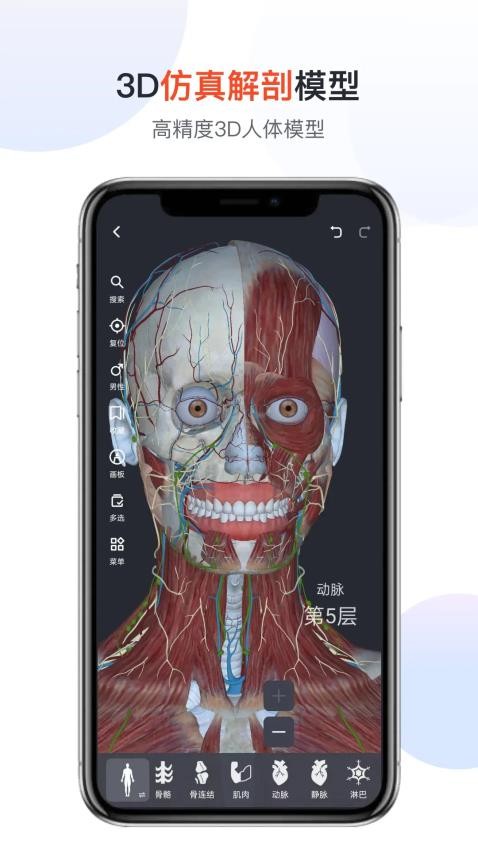 医用人体解剖(2)