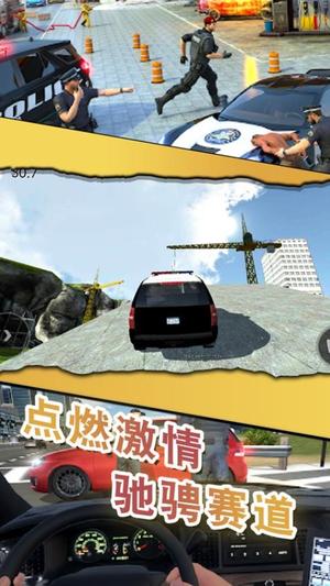 警察缉私巡查3D(3)