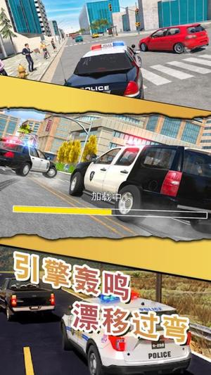 警察缉私巡查3D(2)