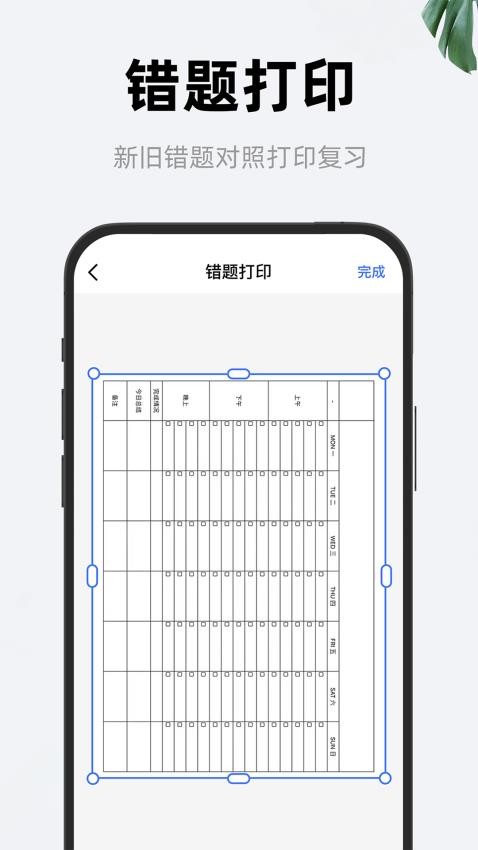 喵喵错题打印机(2)