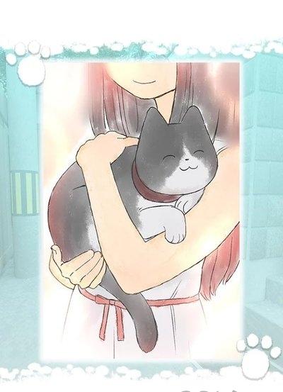 迷路的小猫逃离小胡同(1)