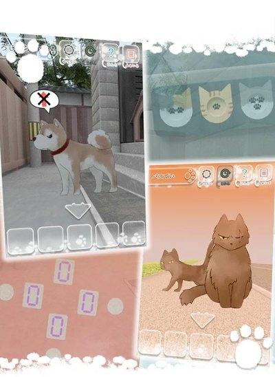 迷路的小猫逃离小胡同(2)