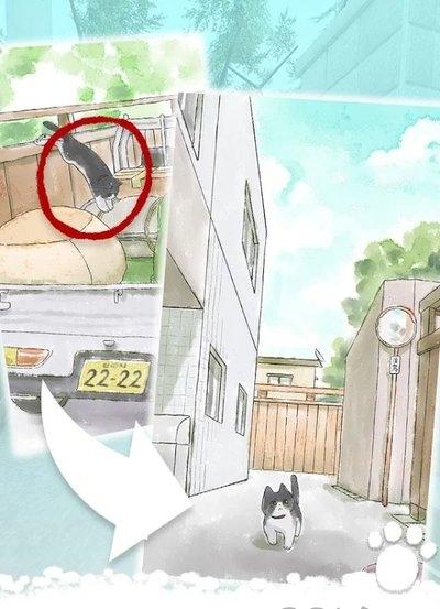 迷路的小猫逃离小胡同(3)