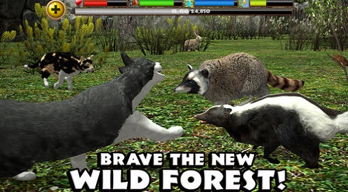 流浪猫模拟器(3)