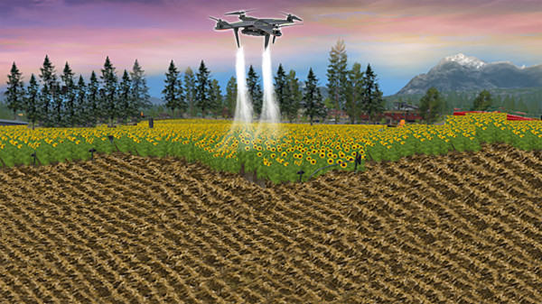 一点都不迷你的农场(3)