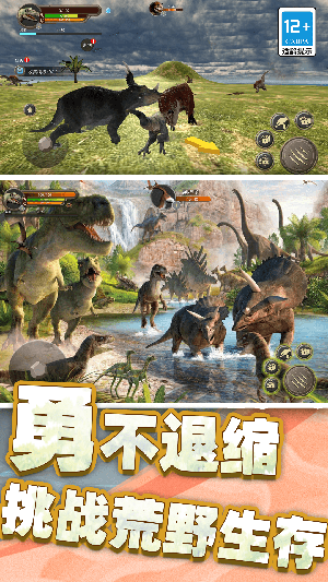 模拟暴龙战斗(1)