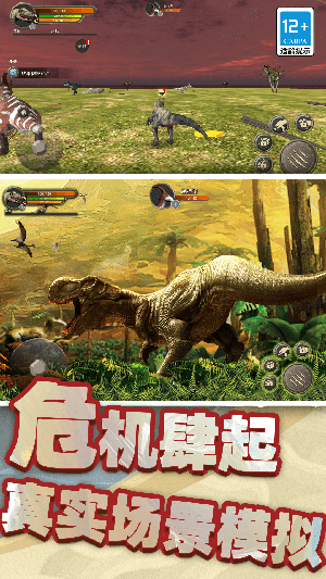 模拟暴龙战斗(3)