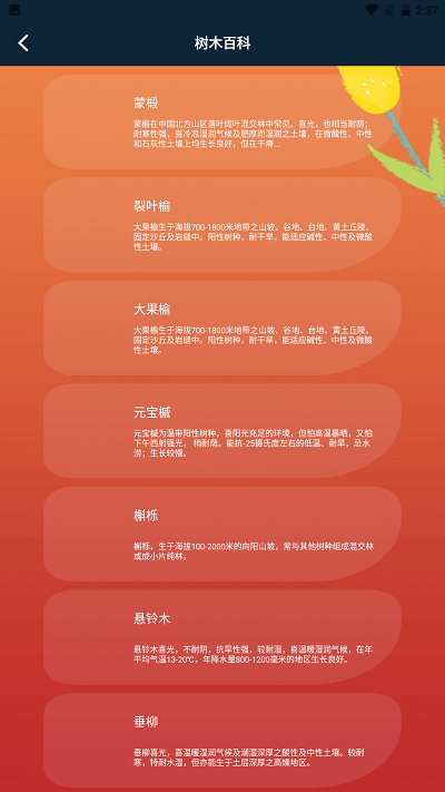 plantae植物识别(2)