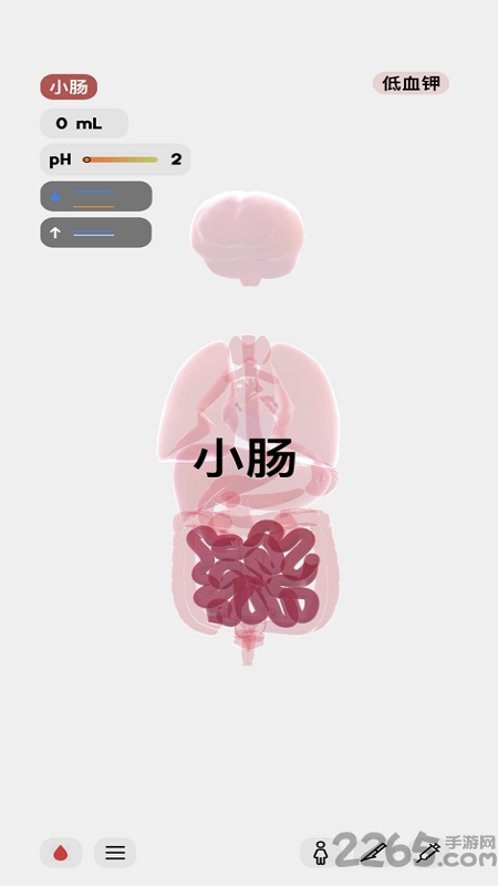 生命人体模拟器life(2)