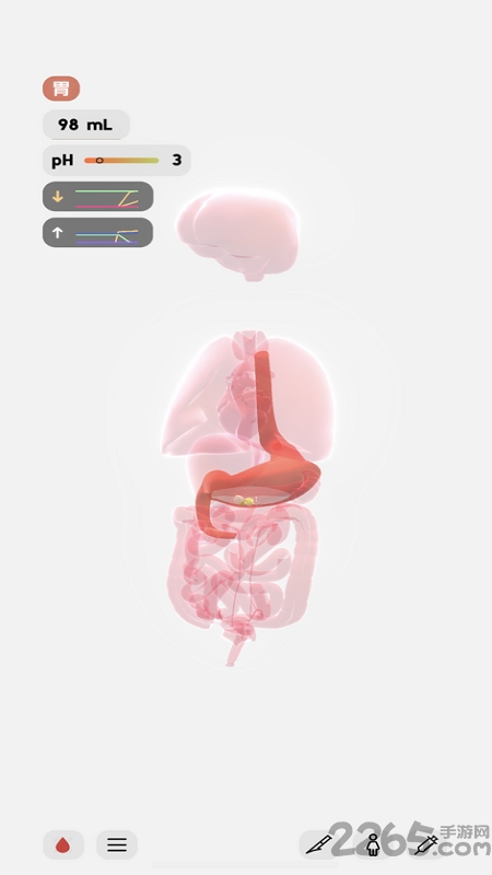 生命人体模拟器life(3)