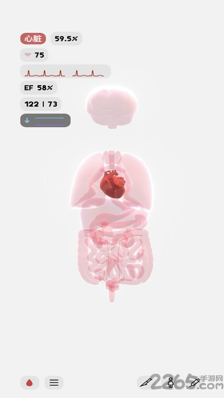 生命人体模拟器life(1)