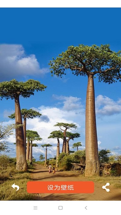 壁纸头像大全(3)