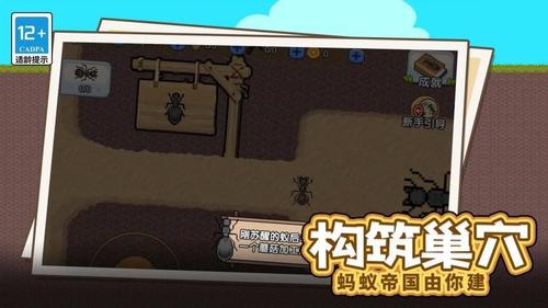 蚂蚁的指挥官(1)